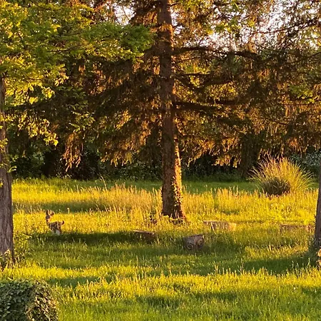 La Maison De L'andelot Monteignet-sur-l'Andelot
