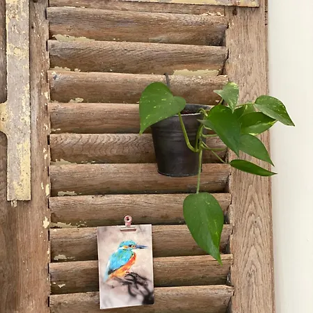 La Maison De L'andelot