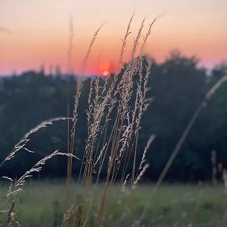 Gasthof La Maison De L'andelot Monteignet-sur-l'Andelot