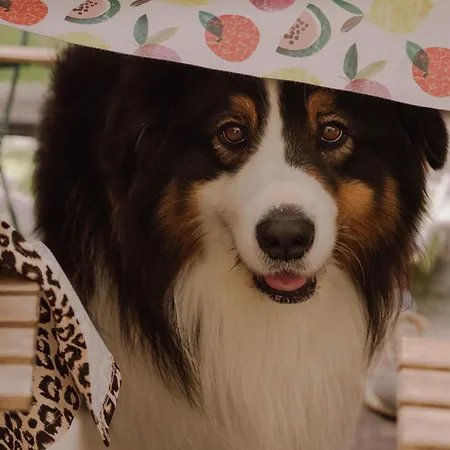 La Maison De L'andelot 3* Monteignet-sur-l'Andelot